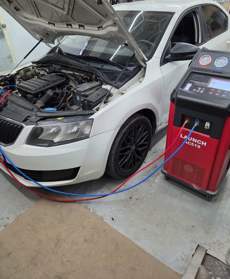 Skoda Octavia подключена к станции